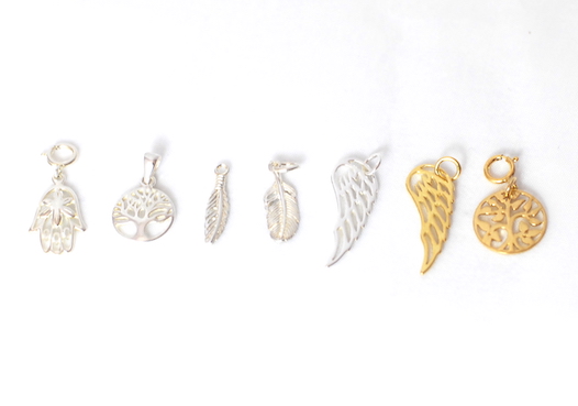 Anhaenger-standard-intuitive-wahl