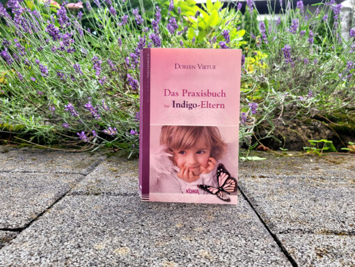 Das Praxisbuch für Indigo-Eltern