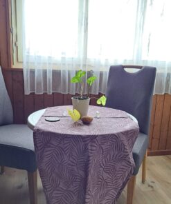 Fensterplatz mit Aussicht und Licht – Papilunea Sanctuary