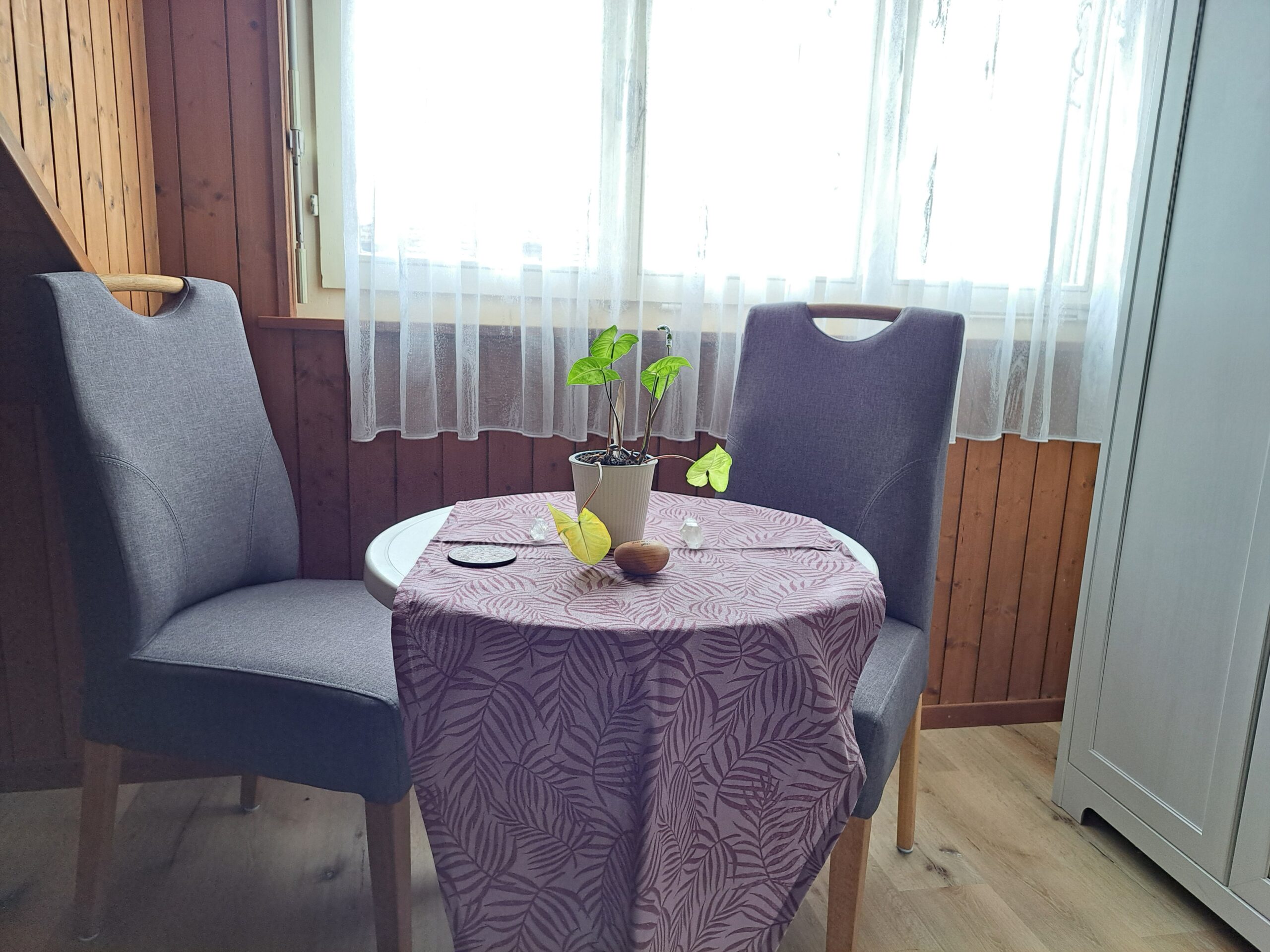 Fensterplatz mit Aussicht und Licht – Papilunea Sanctuary
